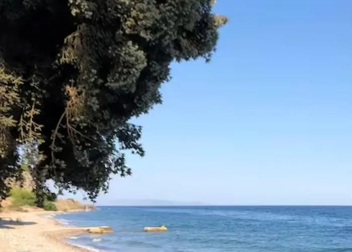 By The Sea 200m & Sea View With Garden 別荘 *